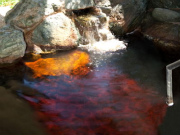 茶褐色の天然温泉、岩風呂イメージ